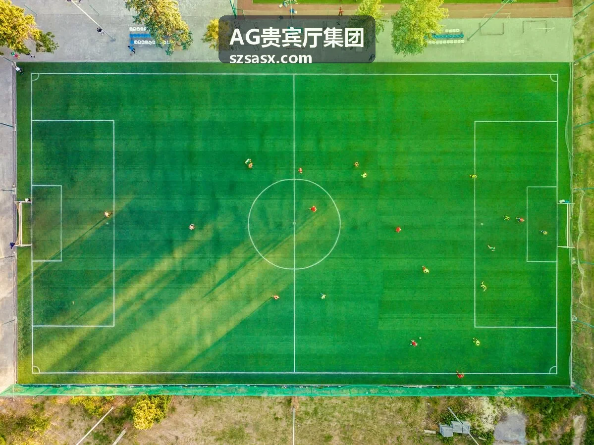 AG贵宾厅集团酒店接待